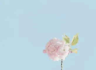咪咕体育直播
