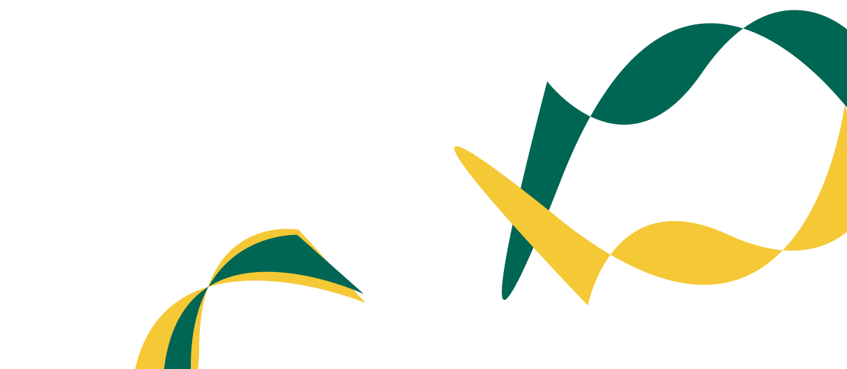 Expert Solutions for Corporate  Financial Success. - 咪咕体育直播